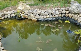 S vodními rostlinami k čistší vodě - 1.díl S vodními rostlinami k čistší vodě - 1.díl