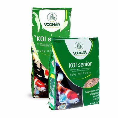 master-koi-2020.jpg